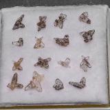 Quartz<br />Oshigahae Mine, Hinokage, Nishiusuki District, Miyazaki Prefecture, Kyushu Region, Japan<br />5.0 x 5.0 cm (Size of Box)<br /> (Author: am mizunaka)