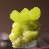 Pyromorphite<br />San Andrés Mine, Espiel, Comarca Valle del Guadiato, Córdoba, Andalusia, Spain<br />12mm x 14mm x 7mm<br /> (Author: Firmo Espinar)