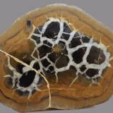 Calcita (variedad septaria)Jerada, Provincia Jerada, Región Oriental, Marruecos80 x 62 x 14 mm. (Autor: José Luis Zamora)