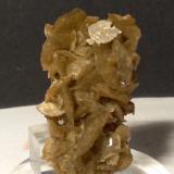 Magnesite (variety ferroan Magnesite)<br />Traversella Mine, Traversella, Chiusella Valley, Canavese District, Metropolitan City of Turin Province, Piedmont (Piemonte), Italy<br />64,6 x 36 mm<br /> (Author: Sante Celiberti)