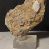 Orthoclase (variey adularia)Glaciar Miage, Valle Veny, Macizo Monte Bianco (Macizo Mont Blanc), Courmayeur, Valle de Aosta (Val d'Aosta), Italia65 x 42 mm (Author: Sante Celiberti)