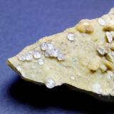 Melanoflogita<br />Fortullino, Rosignano Marittimo, Provincia Livorno, Toscana, Italia<br />Campo de visión 3 cm.<br /> (Autor: Antonio P. López)