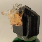 Ilvaita, Cuarzo<br />Campiglia Marittima, Campigliese, Provincia Livorno, Toscana, Italia<br />20,2 x 19,9 mm<br /> (Autor: Sante Celiberti)