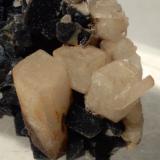 Ilvaita, Cuarzo pseudomórfico de Ilvaita, Cuarzo<br />Campiglia Marittima, Campigliese, Provincia Livorno, Toscana, Italia<br />40 x 26 mm<br /> (Autor: Sante Celiberti)