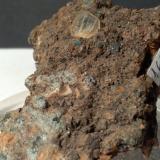 Titanite, Chlorite (Group)<br />Gava Valley, Genova Province, Liguria, Italy<br />62,5 x 49 mm<br /> (Author: Sante Celiberti)