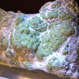 Andradite (variety demantoid), asbestos<br />Malenco Valley (Valmalenco), Sondrio Province, Lombardy, Italy<br />125 x 78,3 mm<br /> (Author: Sante Celiberti)