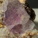 Fluorite<br />Paglio Pignolino Mine, Dossena, Brembana Valley, Bergamo Province, Lombardy/Lombardia, Italy<br />77,5 x 47,5 mm<br /> (Author: Sante Celiberti)