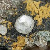Analcima<br />Samsun, Provincia Samsun, Región del Mar Negro, Turquía<br />Cristal de 5 mm.<br /> (Autor: Antonio P. López)