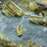 BaritaMeikle Mine, Bootstrap District, Elko County, Nevada, USA3 x 3 cm. (Autor: javier ruiz martin)