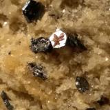 Hematite, Rutile<br />Monte Cervandone, Devero Alp, Baceno, Ossola Valley, Verbano-Cusio-Ossola Province, Piedmont (Piemonte), Italy<br />131 x 83 mm<br /> (Author: Sante Celiberti)