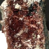 Grossular (variety hessonite), Diopside, Clinochlore<br />Gava Valley, Genova Province, Liguria, Italy<br />102 x 73 mm<br /> (Author: Sante Celiberti)