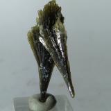 EpidoteCanteras Premia gneiss, Premia, Antigorio Valley, Valle Ossola, Provincia Verbano-Cusio-Ossola, Piamonte (Piemonte), Italia32 x 12 mm (Author: Sante Celiberti)