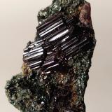 Vesuvianite, ClinochlorePunta Cristalliera, Roure, Provincia Ciudad metropolitana de Turín, Piamonte (Piemonte), Italia25 x 14,6 mm (Author: Sante Celiberti)