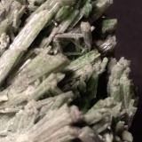 Omphacite<br />Bric Vert, Quincinetto, Metropolitan City of Turin Province, Piedmont (Piemonte), Italy<br />92 x 73 mm<br /> (Author: Sante Celiberti)