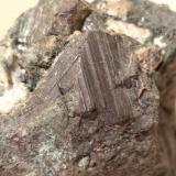 Rutile<br />Vizze Valley, Bolzano Province, Trentino-Alto Adige (Trentino-Südtirol), Italy<br />93 x 54 mm<br /> (Author: Sante Celiberti)