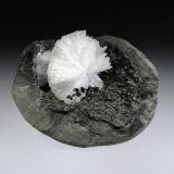 Epistilbita<br />Distrito Jalgaon, Maharashtra, India<br />8 x 6 cm.<br /> (Autor: Antonio P. López)