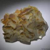 Calcita.Mont-rodon, Taradell, Comarca Osona, Barcelona, Cataluña / Catalunya, España65x50 mm. (Autor: Jesus Franquesa Baucells)