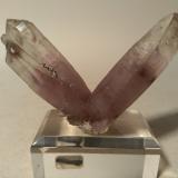 Cuarzo (variedad amatista), Pirita<br />Mina Gavorrano, Gavorrano, Provincia Grosseto, Toscana, Italia<br />72 x 47 mm<br /> (Autor: Sante Celiberti)