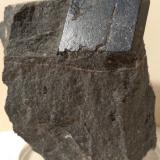 Kaersutite<br />Predazzo, Fiemme Valley, Trento Province, Trentino-Alto Adige (Trentino-Südtirol), Italy<br />72 x 62 mm<br /> (Author: Sante Celiberti)