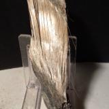 Balangeroite<br />Poggio San Vittore asbestos Mine, Balangero, Lanzo Valleys (Valli di Lanzo), Metropolitan City of Turin Province, Piedmont (Piemonte), Italy<br />104 x 27 mm<br /> (Author: Sante Celiberti)