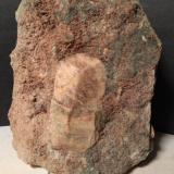 Titanite<br />Gava Valley, Genova Province, Liguria, Italy<br />122 x 92 mm<br /> (Author: Sante Celiberti)