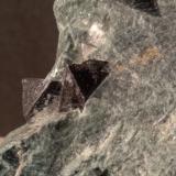 Magnetite<br />Monte Rosso di Verra, Champoluc, Val d'Ayas, Aosta Valley (Val d'Aosta), Italy<br />83 x 50 mm<br /> (Author: Sante Celiberti)