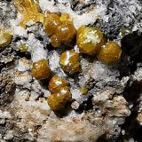 Mimetita (variedad campylita)<br />Mina Dry Gill, Caldbeck Fells, Allerdale, (antes Cumberland), Cumbria, Inglaterra / Reino Unido<br />76x51x39 mm<br /> (Autor: Juan María PS)