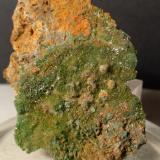 Pyromorphite<br />Cinquevalli Mine, Roncegno, Trento Province, Trentino-Alto Adige (Trentino-Südtirol), Italy<br />52 x 37 mm<br /> (Author: Sante Celiberti)