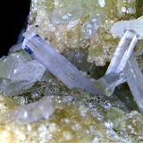 Natrolita<br />Rambla de Los Lobos, Alamedilla, Comarca Los Montes, Granada, Andalucía, España<br />Cristales de 3 mm.<br /> (Autor: Antonio P. López)