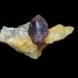 Monazita-(Ce)<br />Sierra Albarrana, Hornachuelos, Comarca Valle Medio del Guadalquivir, Córdoba, Andalucía, España<br />Cristal de 10 mm en matriz de pegmatita de 20x12x11 mm<br /> (Autor: Antonio Carmona)