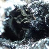 PirolusitaBarranco del Francés, Sierra Almagrera, Cuevas del Almanzora, Comarca Levante Almeriense, Almería, Andalusia, Spain4 x 4 cm. (Autor: javier ruiz martin)