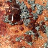 Grossular (variety hessonite), Clinochlore<br />Carboneri, Villar Pellice, Metropolitan City of Turin Province, Piedmont (Piemonte), Italy<br />100 x 47 mm<br /> (Author: Sante Celiberti)