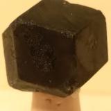 Andradite (variety melanite)<br />Malenco Valley (Valmalenco), Sondrio Province, Lombardy, Italy<br />19 x 15 mm<br /> (Author: Sante Celiberti)