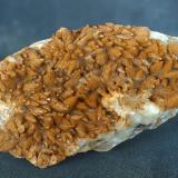 Calcita<br />Cantera Casablanca, Lloma Alta, Les Boqueres, San Vicente del Raspeig/Sant Vicent del Raspeig, Comarca Campo de Alicante, Alicante / Alacant, Comunidad Valenciana / Comunitat Valenciana, España<br />10 x 5 cm<br /> (Autor: Pedro Antonio)