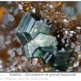 Clinochlore with Grossular (variety hessonite)<br />Felskinn, Fee Glacier, Saas Fee, Saas Valley, Zermatt - Saas Fee, Wallis (Valais), Switzerland<br />3.6 mm<br /> (Author: ploum)