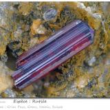 Rutile<br />Felskinn, Fee Glacier, Saas Fee, Saas Valley, Zermatt - Saas Fee, Wallis (Valais), Switzerland<br />fov 3.6 mm<br /> (Author: ploum)