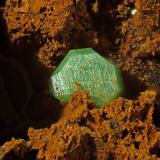 TorbernitaLa Virgen Mine, Andújar, Comarca de la Campiña, Jaén, Andalusia, SpainCristal 1mm (Autor: Jorgina-Agusti-Màrius)