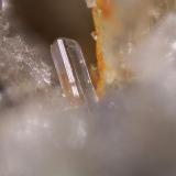 Anglesita<br />Mina de Vallclara, Mas de lAnglès, Vallclara, Comarca Conca de Barberà, Tarragona, Cataluña / Catalunya, España<br />Cristal 0,5 x 0,2 mm<br /> (Autor: Jorgina-Agusti-Màrius)