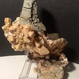 Pirita, Dolomita (pseudomórfica de calcita)<br />Mina Gavorrano, Gavorrano, Provincia Grosseto, Toscana, Italia<br />140 x 103 mm<br /> (Autor: Sante Celiberti)