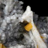 Barita<br />Mina Nieves, Monte Dobra, Viérnoles, Torrelavega, Comarca Besaya, Cantabria, España<br />Grupo de cristales de 9 mm.<br /> (Autor: Antonio P. López)