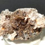 Dolomite, Muscovite, PyriteAlpe Devero, Baceno, Valle Ossola, Provincia Verbano-Cusio-Ossola, Piamonte (Piemonte), Italia87 x 47 mm (Author: Sante Celiberti)