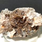 Dolomite, Muscovite, PyriteDevero Alp, Baceno, Ossola Valley, Verbano-Cusio-Ossola Province, Piedmont (Piemonte), Italy87 x 47 mm (Author: Sante Celiberti)