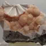 Escolecita<br />Estopiñán del Castillo, Comarca La Ribagorza, Huesca, Aragón, España<br />6x4 cm<br /> (Autor: Joan Niella)