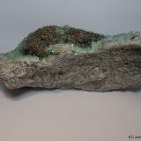 Pirita<br />Pedrera Berta, Turó de Can Domènech, Serra de Roques Blanques, Sant Cugat del Vallès-El Papiol, Comarca Vallès Occidental / Baix Llobregat, Barcelona, Cataluña / Catalunya, España<br />13 x 4 cm<br /> (Autor: Joan Niella)