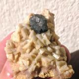 Galena, Dolomita<br />Mina Regia, Bellmunt del Priorat, Comarca Priorat, Tarragona, Cataluña / Catalunya, España<br />4,1 x 4,6 cm.<br /> (Autor: Carles)