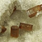 Pyromorphite<br />Pcheloyad Mine, Momchilgrad Obshtina, Kardzhali Oblast, Bulgaria<br /><br /> (Author: Rob Schnerr)