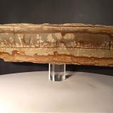 Piedra paisajistica<br />Mina Gavorrano, Gavorrano, Provincia Grosseto, Toscana, Italia<br />310 x 90 mm<br /> (Autor: Sante Celiberti)