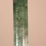 Elbaite (variety indicolite)Brazil4mm x 27mm x 4mm (Author: Firmo Espinar)
