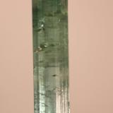 Elbaite (variety indicolite)<br />Brazil<br />4mm x 27mm x 4mm<br /> (Author: Firmo Espinar)