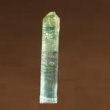 Elbaite (variety indicolite)<br />Brazil<br />4mm x 27mm x 4mm<br /> (Author: Firmo Espinar)